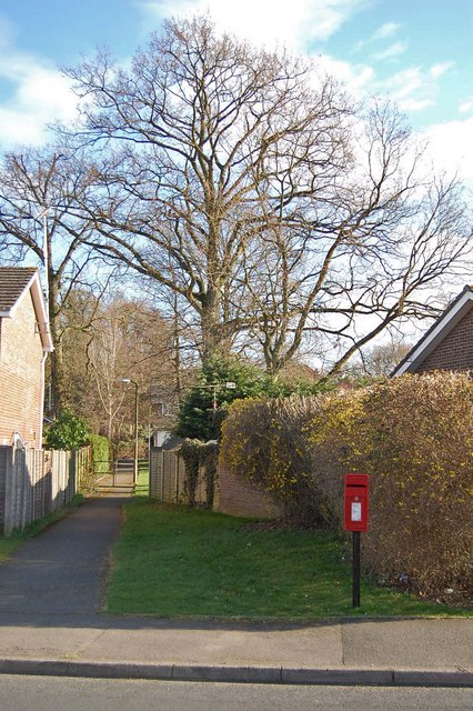 Footpath in Earlswood